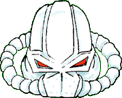 Force Commander